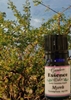 Myrrh, 15 ml. Garden Essence Oils Myrrh,myrrh essential oil