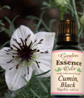 Cumin, black, 15 ml Garden Essence Oils Cumin,essential oils for arthritis,essential oils for muscle pain
