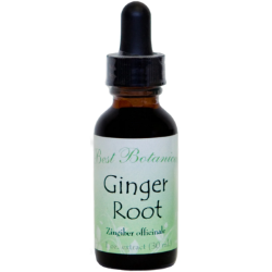 Ginger Root Extract, 1 oz 