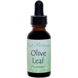Olive Leaf Extract, 1 oz 