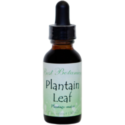 Plantain Leaf Extract, 1 oz 
