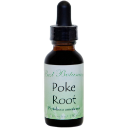 Poke Root Extract, 1 oz 