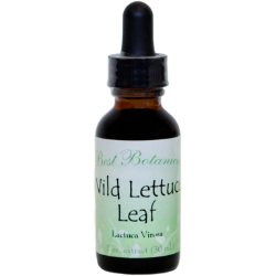Wild Lettuce Leaf Extract, 1 oz 