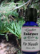 Fir Needle, 15 ml. Garden Essence Oils Fir Needle,essential oils for arthritis,essential oils for arthritis,essential oils for bronchitis