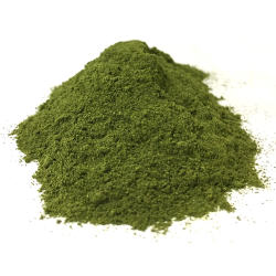 Cilantro Leaf Powder, 16 oz 