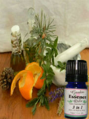 3 in 1, 15 ml. Garden Essence Oils 3 in 1 Essential Oil Blend,essential oils for strep,essential oils to kill virus