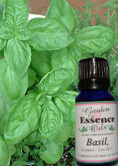 Basil, 15 ml. Garden Essence Oils Basil,basil essential oil