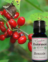 Benzoin Absolute, 15 ml. Garden Essence Oils Benzoin absolute,Benzoin absolute essential oil