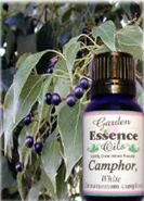 Camphor, 15 ml. Garden Essence Oils Camphor oil,camphor essential oil