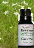 Caraway, 15 ml. Garden Essence Oils Caraway,essential oils for coughs,