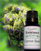 Carrot Seed, 15 ml. Garden Essence Oils Carrot Seed,essential oils for skin care