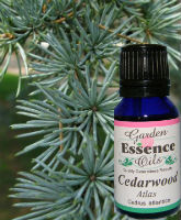 Cedarwood Atlas, 15 ml. Garden Essence Oils Cedarwood Atlas,essential oils for acne