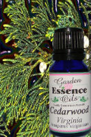 Cedarwood, Virginiana, 15 ml. Garden Essence Oils Cedarwood Virginiana,essential oils for anxiety