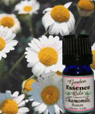 Chamomile, Roman, 15 ml. Garden Essence Oils Chamomile Roman,essential oils for stress