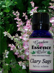 Clary Sage, 15 ml. Garden Essence Oils Clary Sage,essential oils for female issues