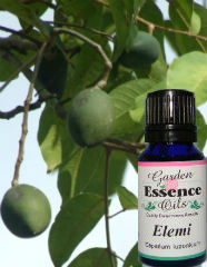 Elemi, 15 ml. Garden Essence Oils Elemi,essential oils for stress