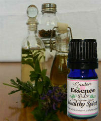 Healthy Spice, 15 ml. Garden Essence Oils Healthy Spice Blend
