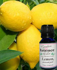 Lemon - pressed peel, 2 oz. Garden Essence Oils Lemon,lemon essential oil,pressed peel lemon essential oil