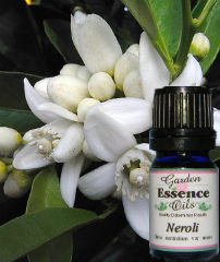 Neroli, 5 ml. Garden Essence Oils Neroli,Neroli essential oil