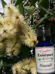 Niaouli, 15 ml. Garden Essence Oils Niaouli,niaouli essential oil