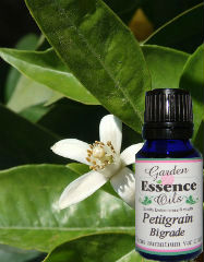 Petitgrain, 15 ml. Garden Essence Oils Petitgrain,petitgrain essential oil