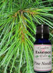 Pine Needle, 15 ml. Garden Essence Oils Pine,pine essential oil