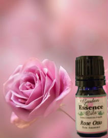 Rose Otto, Bulgarian 5 ml.  Garden Essence Oils Rose,rose essential oil
