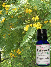 Rosewood, 15 ml. Garden Essence Oils Rosewood,rosewood essential oil