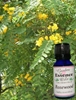 Rosewood, 15 ml. Garden Essence Oils Rosewood,rosewood essential oil