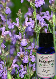 Sage, 15 ml. Garden Essence Oils Sage,sage essential oil