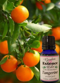 Tangerine, 15 ml. Garden Essence Oils Tangerine,tangerine essential oil