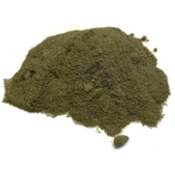 Squaw Vine Herb Powder, 16 oz 